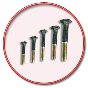 Silicon Bronze Carriage Bolts 5/16-18 